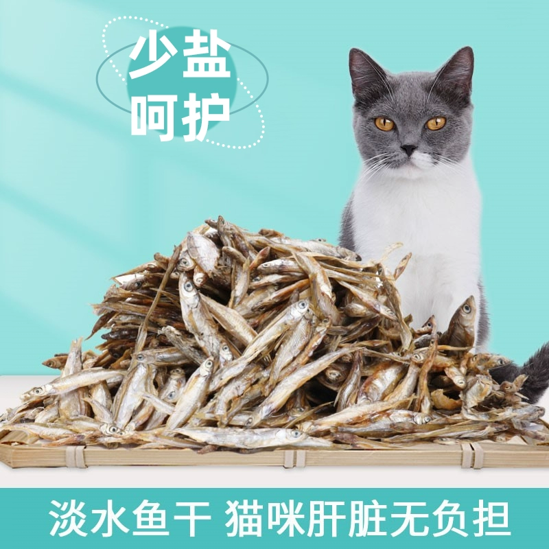 猫需要补钙吗