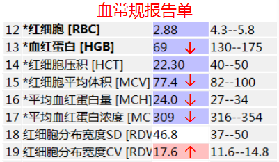 孕妇必须补铁吗