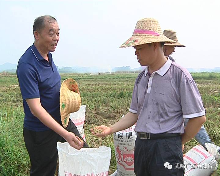 富硒农产品的种植技术