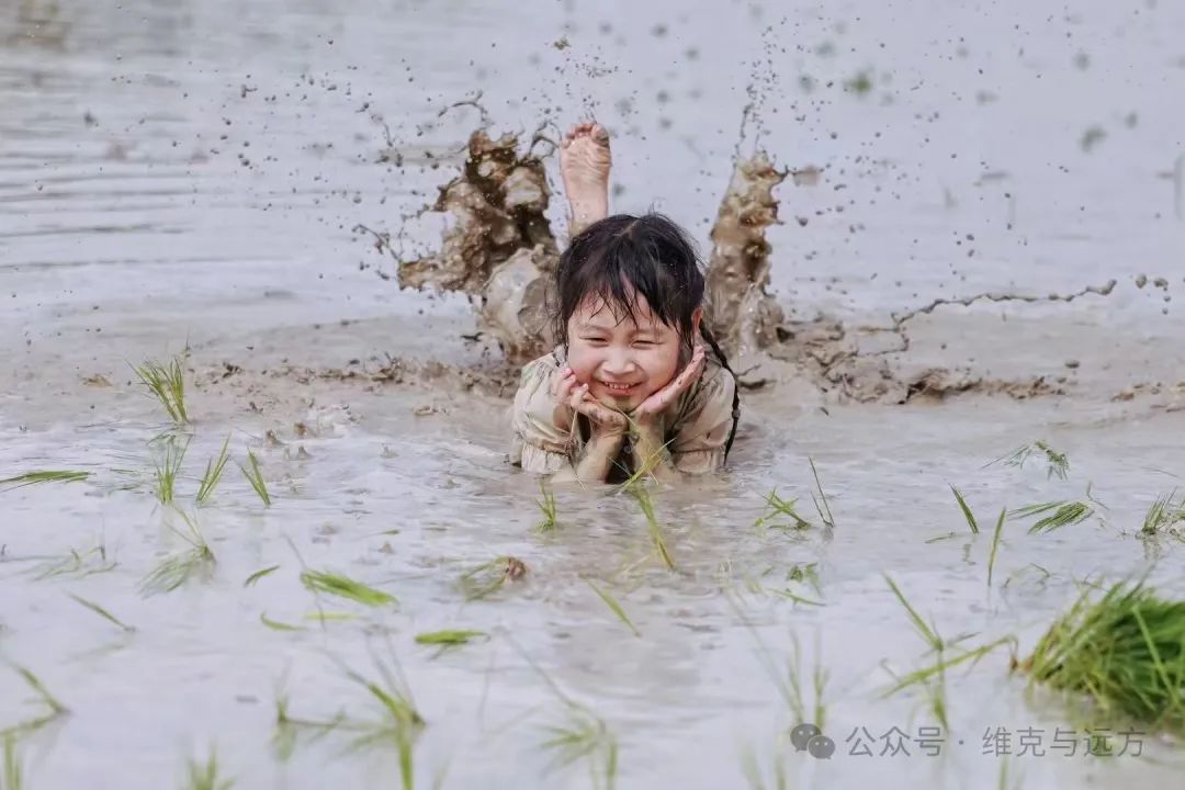 阿拉尔富硒农产品认证