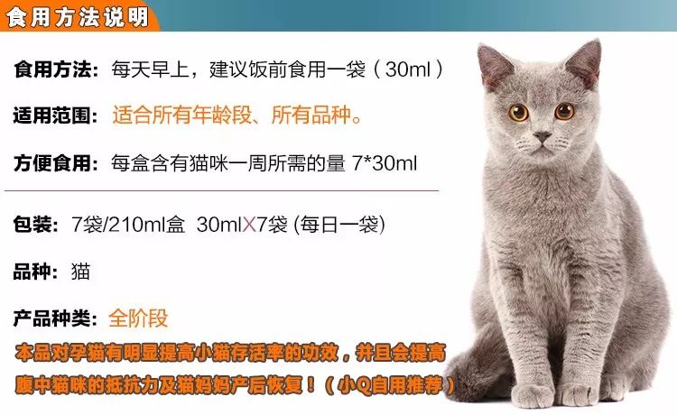 猫咪补充微量元素吃什么