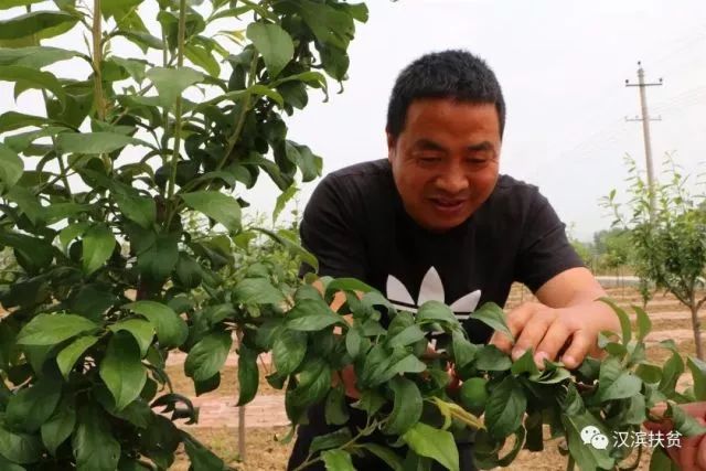 农民种植富硒产品热情