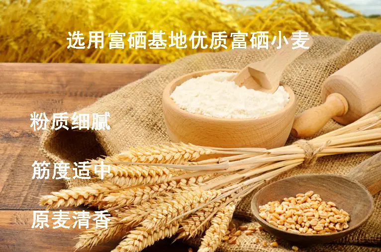 中国北方富硒农业产品