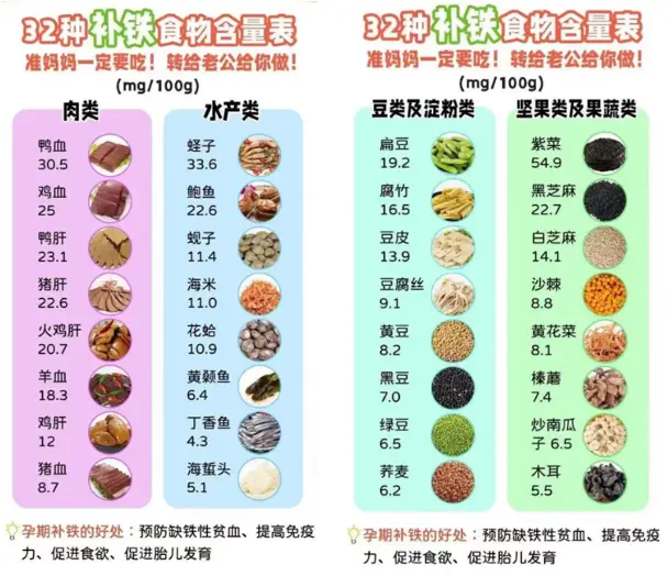 吃什么食物可以补铁