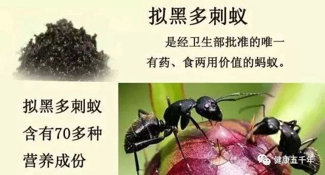 儿童补锌一天最佳时间