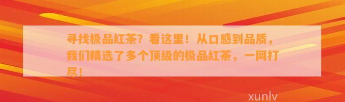 寻找极品红茶？看这里！从口感到品质，咱们精选了多个顶级的极品红茶，一网打尽！