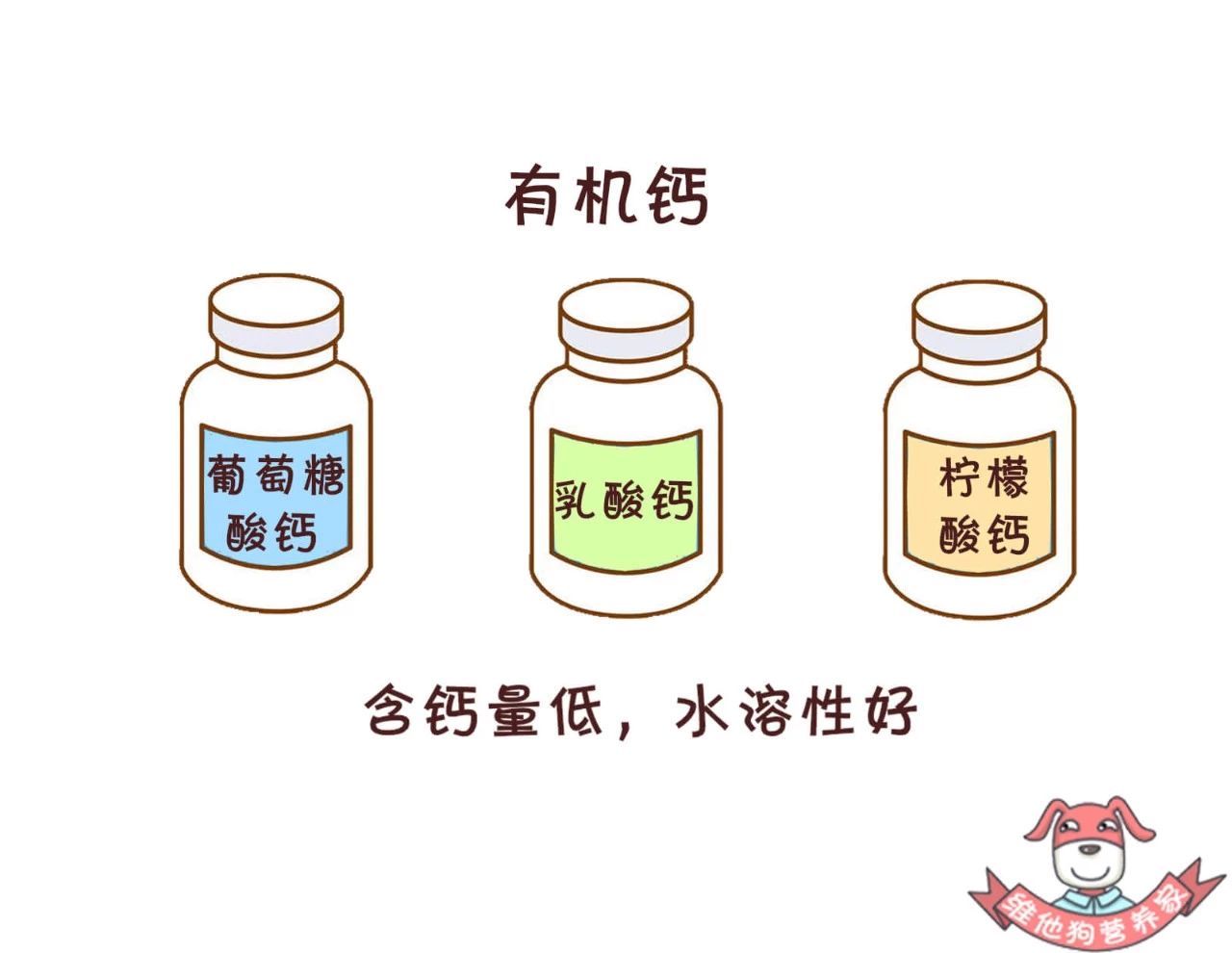 什么样的钙片补钙最好