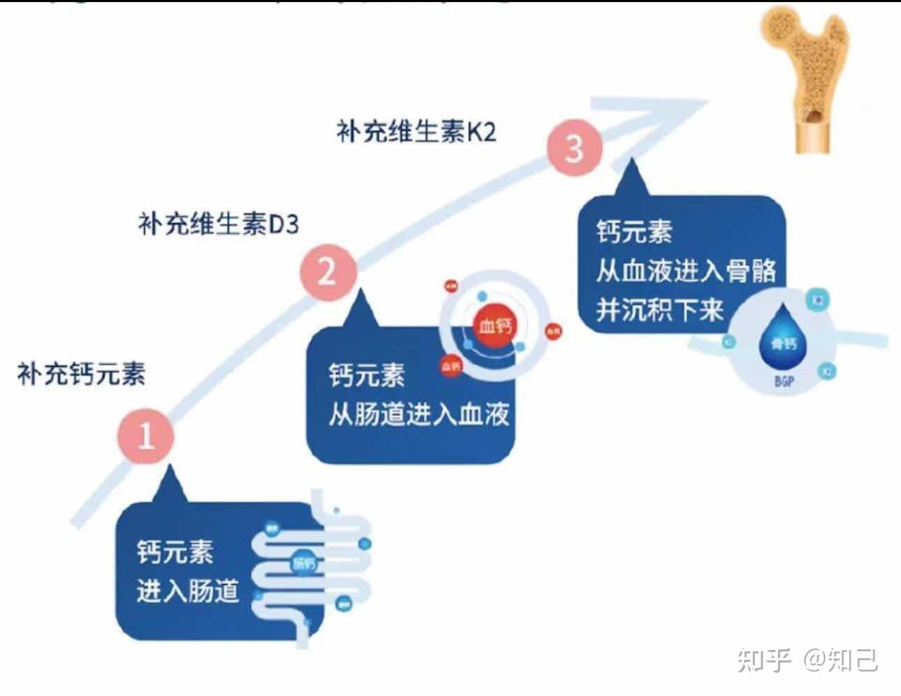 吃啥钙片补钙效果最好