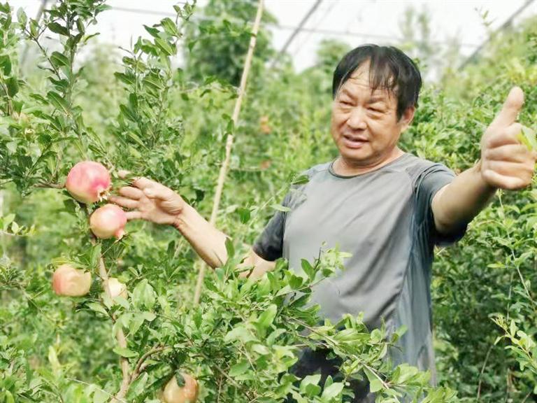 山东省富硒农产品基地