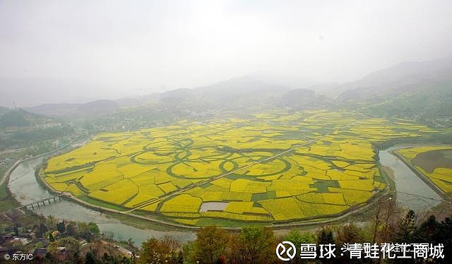 开阳县富硒农产品问题