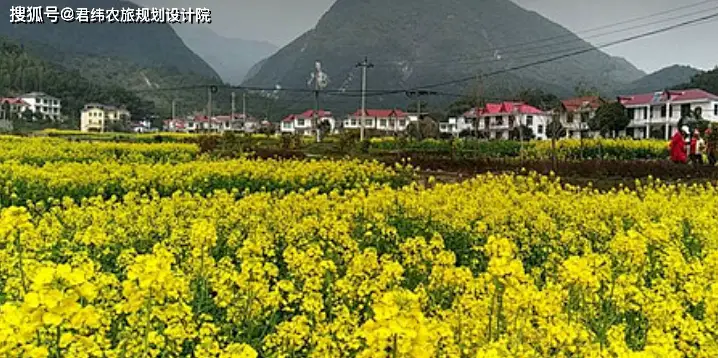 江西栖贤山富硒农产品