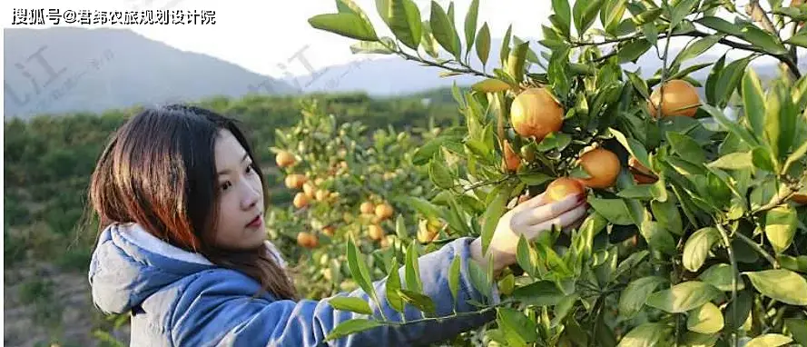 江西栖贤山富硒农产品