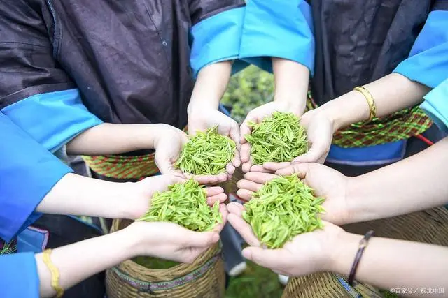 恩施天然富硒茶的特点