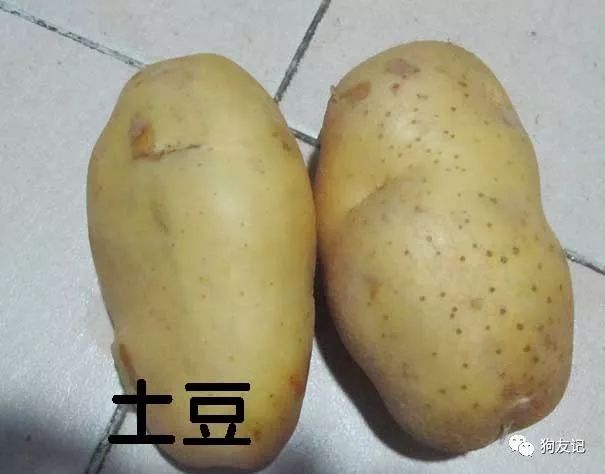 狗狗微量元素哪个牌子好