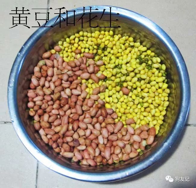 狗狗微量元素哪个牌子好