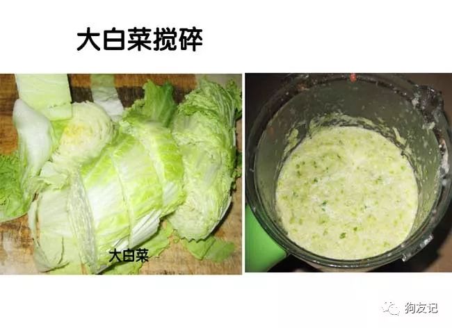 狗狗微量元素哪个牌子好