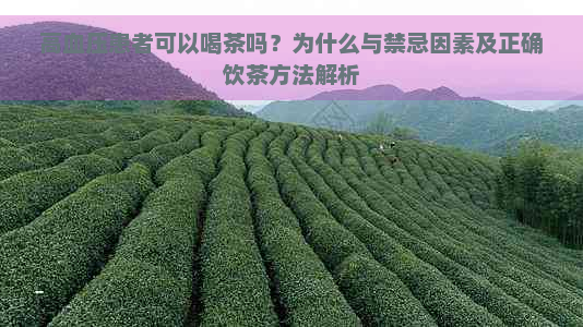 高血压患者可以喝茶吗？为什么与禁忌因素及正确饮茶方法解析