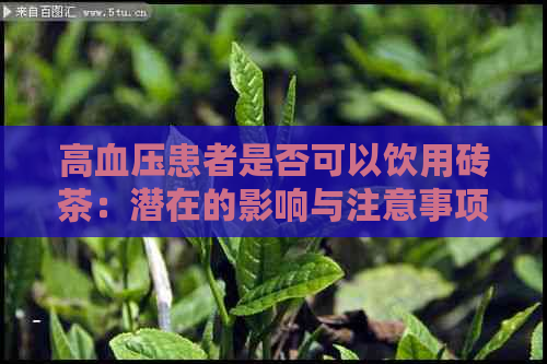 高血压患者是否可以饮用砖茶：潜在的影响与注意事项