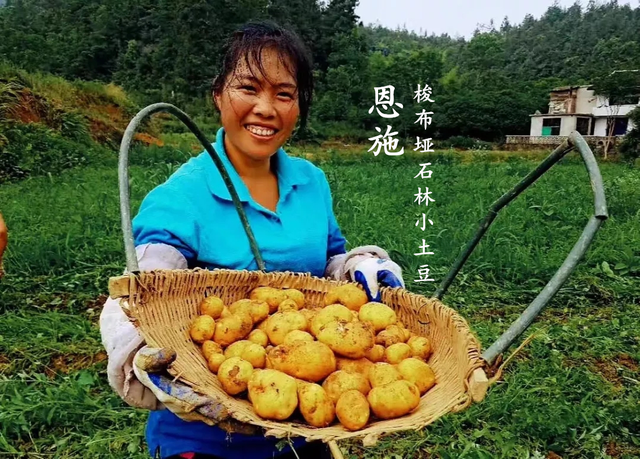 茶小硒恩施高山富硒茶