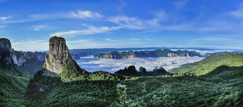 茶小硒恩施高山富硒茶