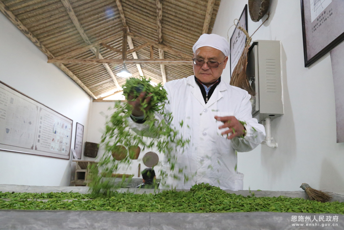 恩施玉露茶芭蕉富硒茶