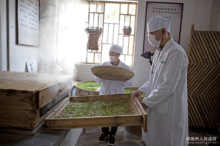 恩施玉露茶芭蕉富硒茶