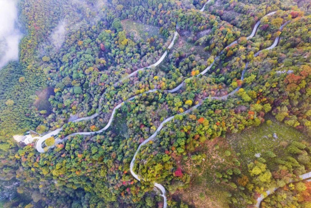 仙寓山富硒茶含硒多少