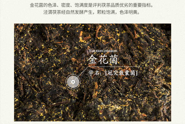 紫阳富硒茶含硒量高吗