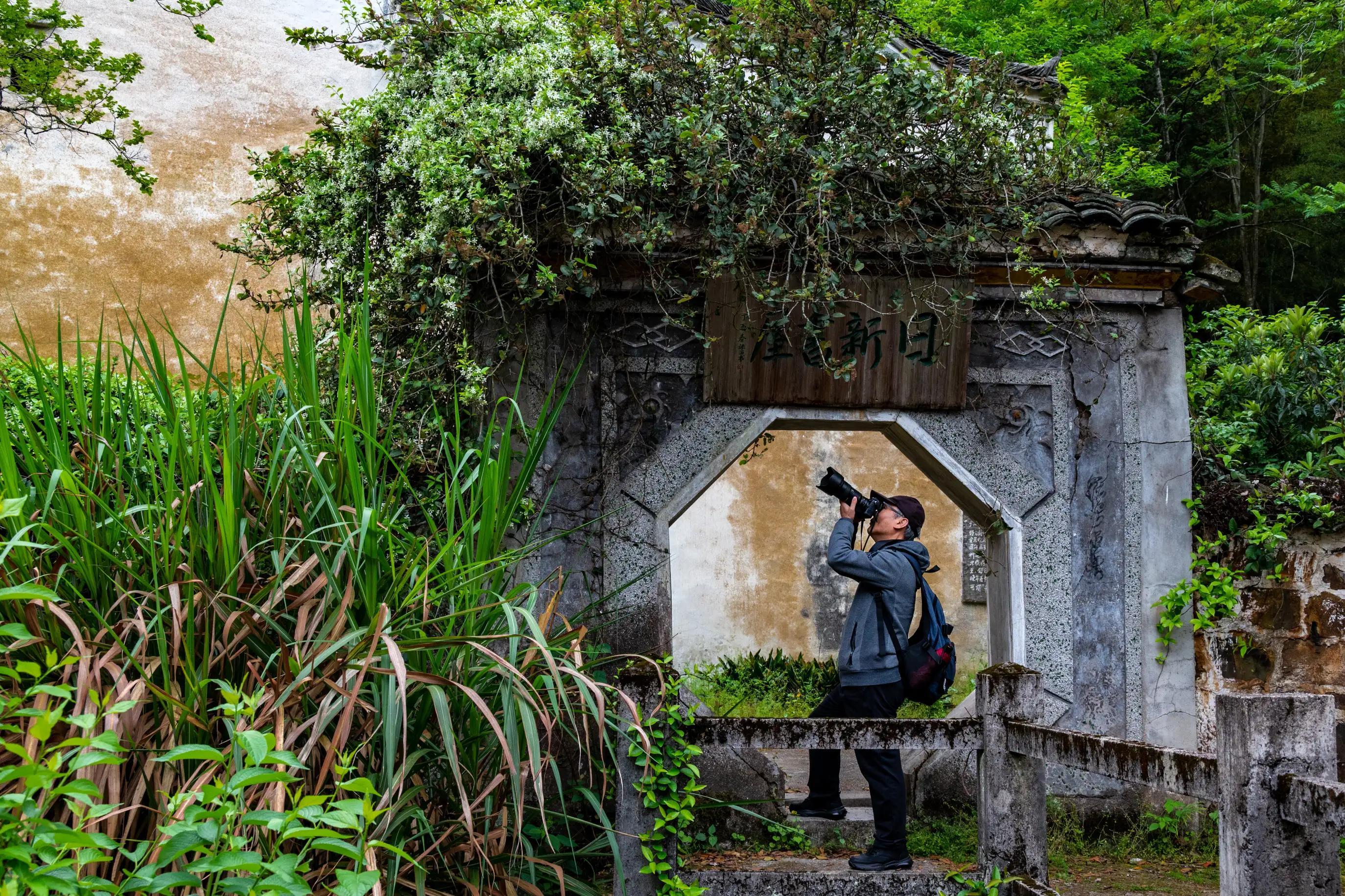 仙寓山富硒茶含硒多少