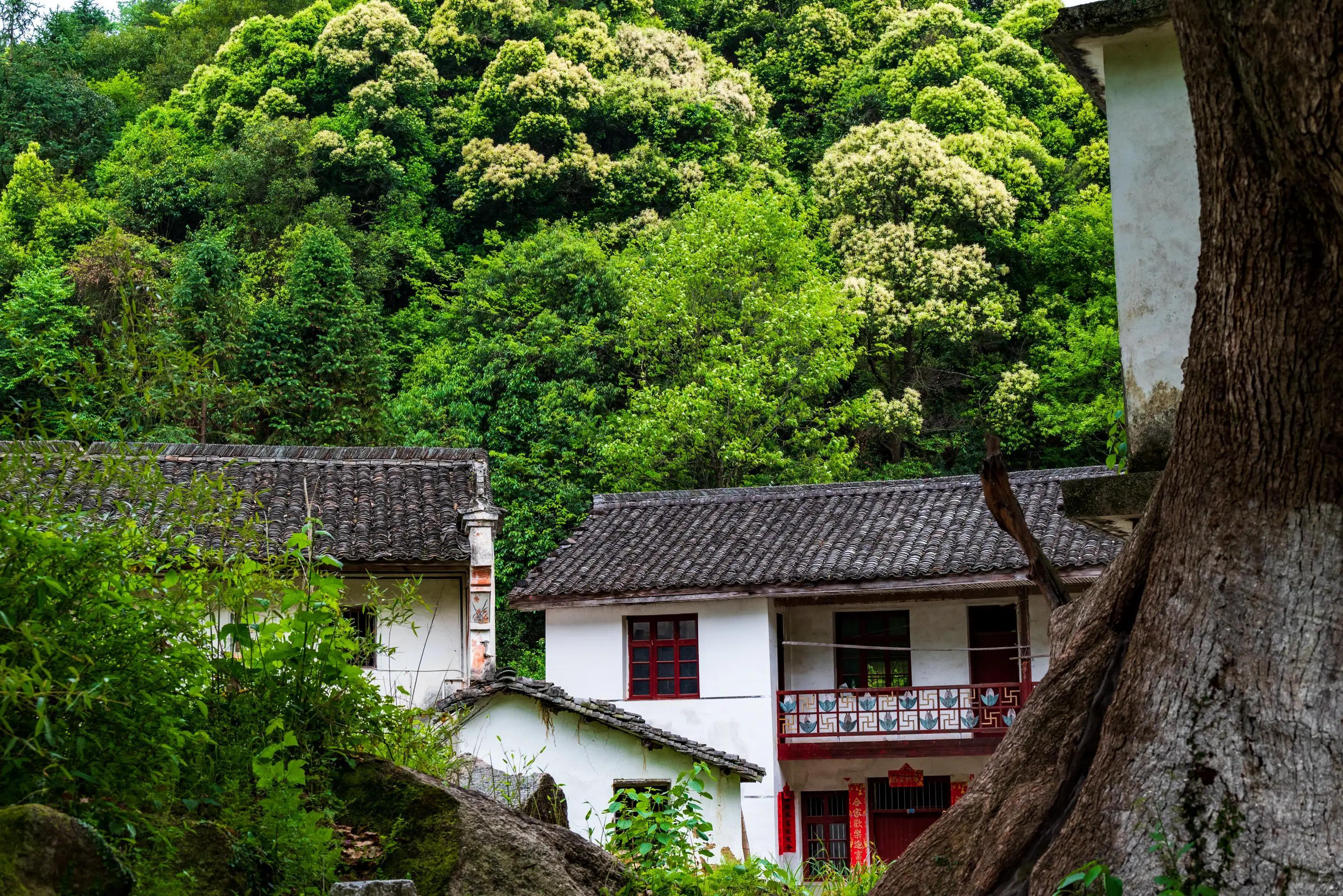 仙寓山富硒茶含硒多少