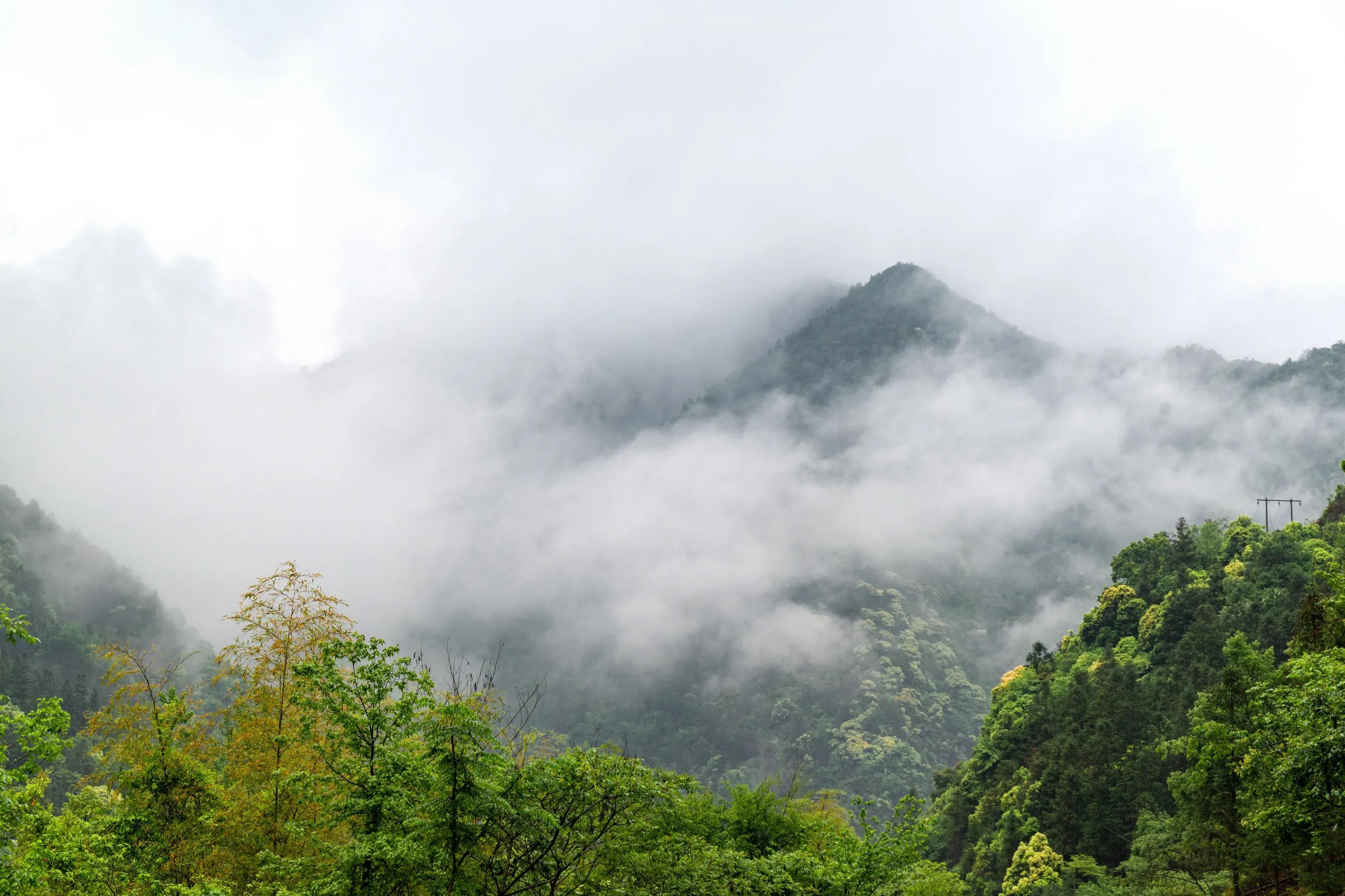 仙寓山富硒茶含硒多少