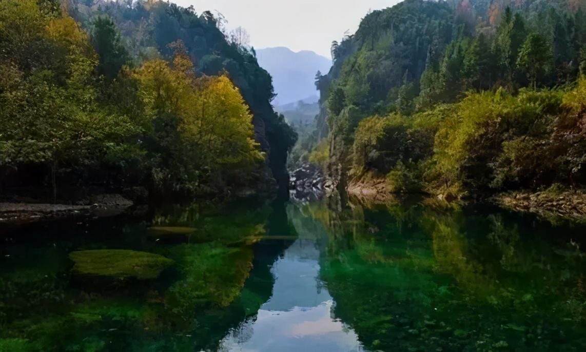 仙寓山富硒茶含硒多少