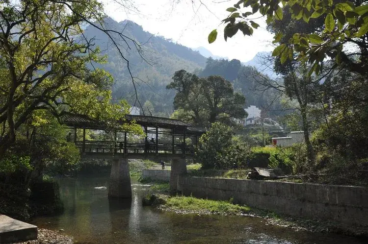 仙寓山富硒茶含硒多少