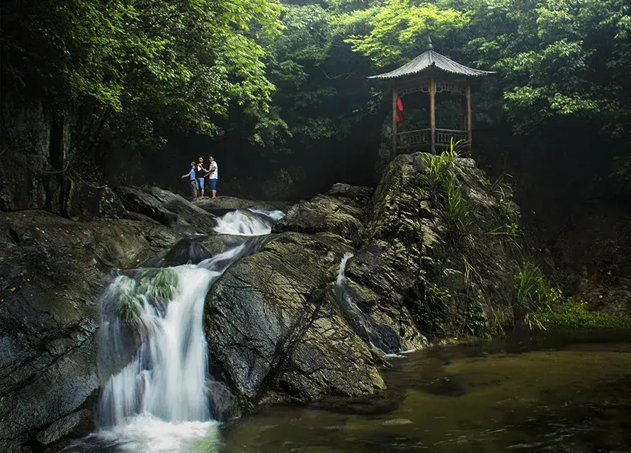 仙寓山富硒茶含硒多少