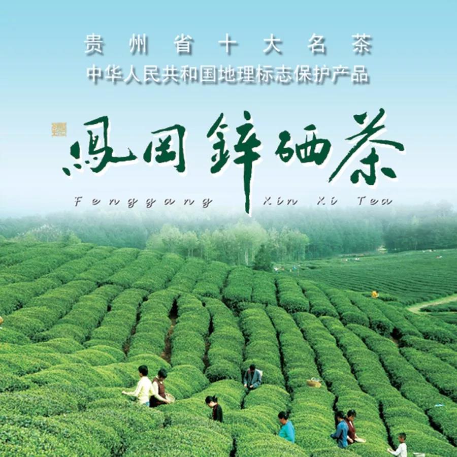 云硒富硒黑苦荞茶价格