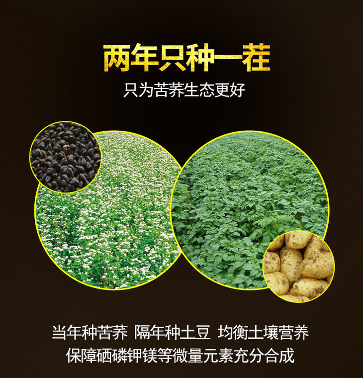 云硒富硒黑苦荞茶价格