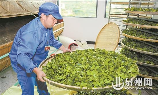 富硒茶是不是恩施的茶