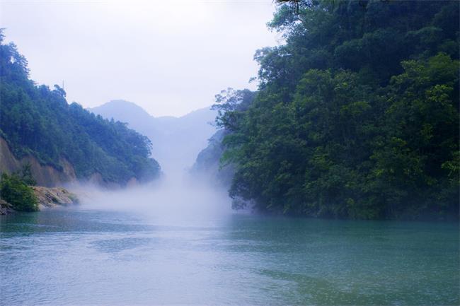 湖南郴郴州汝城富硒茶