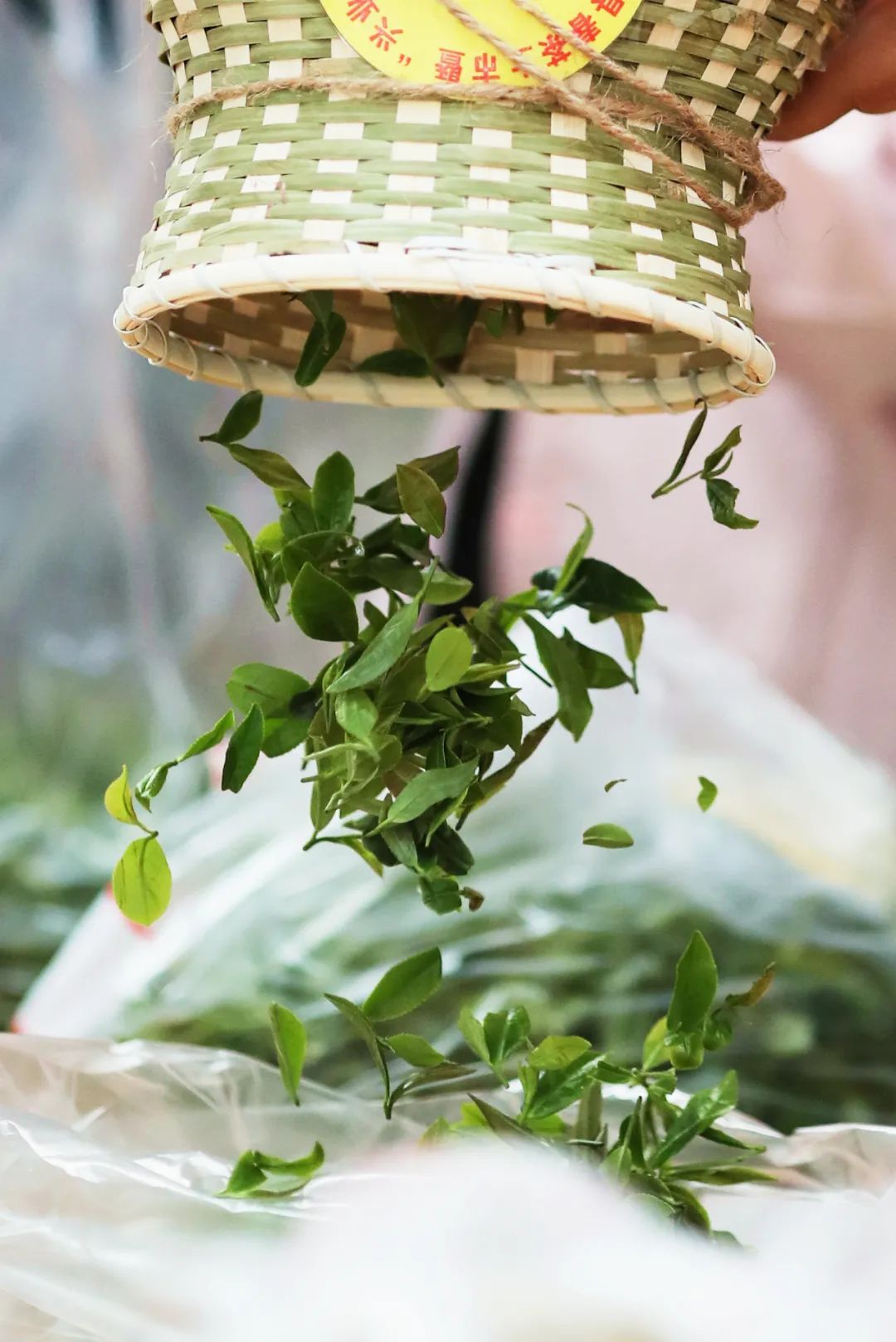 峰富硒茶种植示范基地