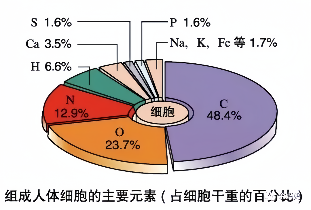 微量元素能检查出什么