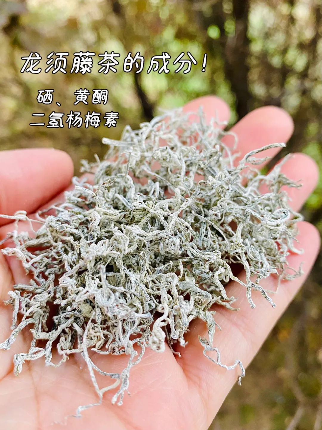 恩施富硒藤茶饮用方法