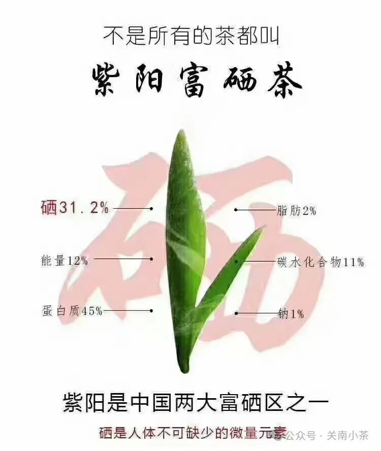 紫阳毛尖就是富硒茶吗