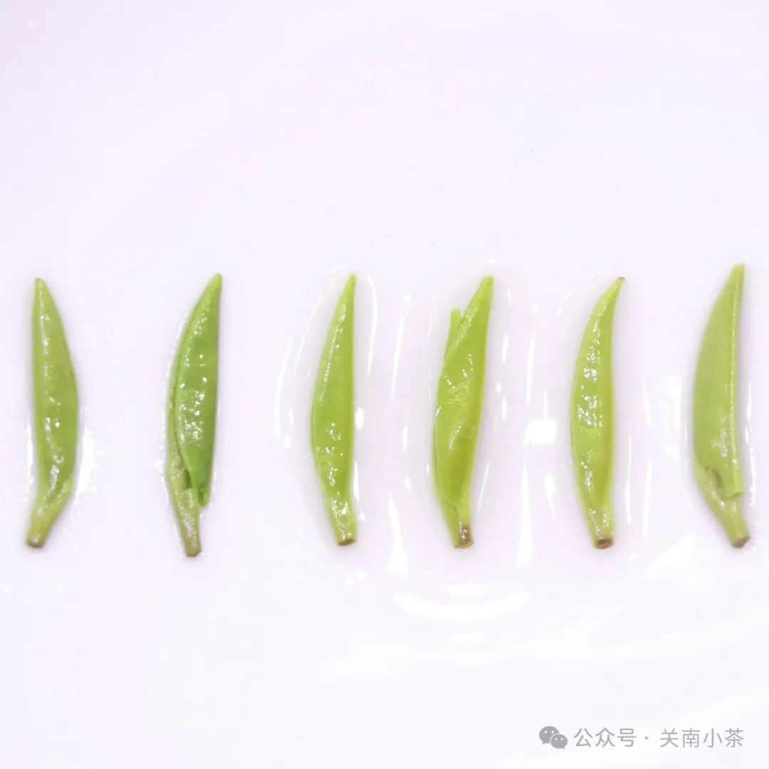 紫阳毛尖就是富硒茶吗