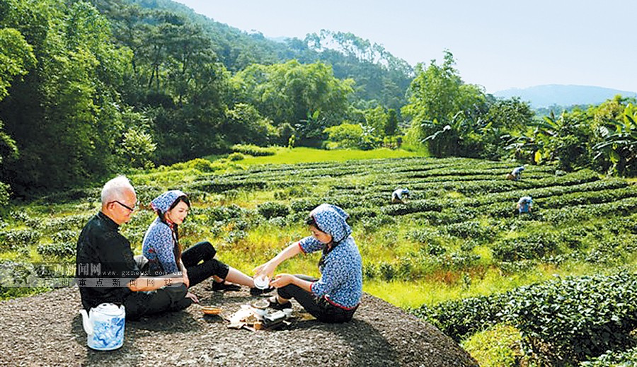 关于富硒茶的实践活动