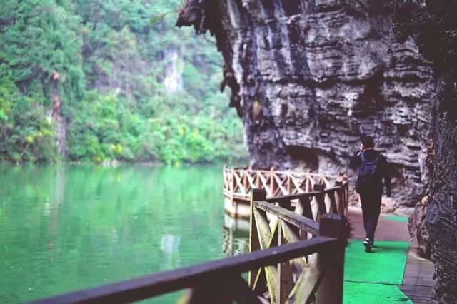 贵阳富硒茶可以减肥吗