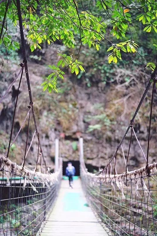 贵阳富硒茶可以减肥吗