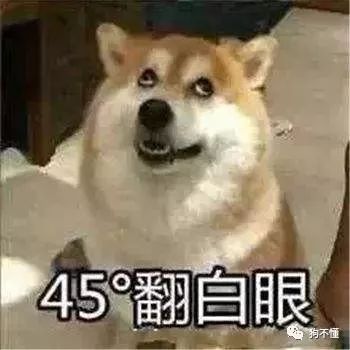 狗微量元素怎么补