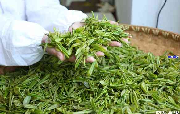 平利县女娲茗茶，探索平利县女娲茗茶：优质茶叶的生产与销售