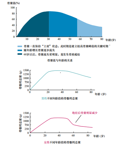 17岁补钙哪种效果好