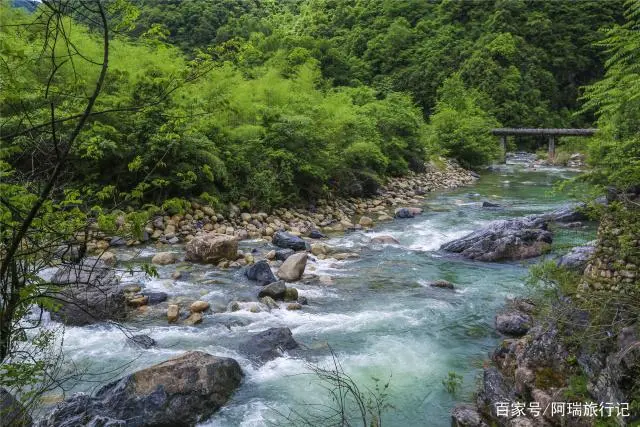 石台富硒茶有什么好处